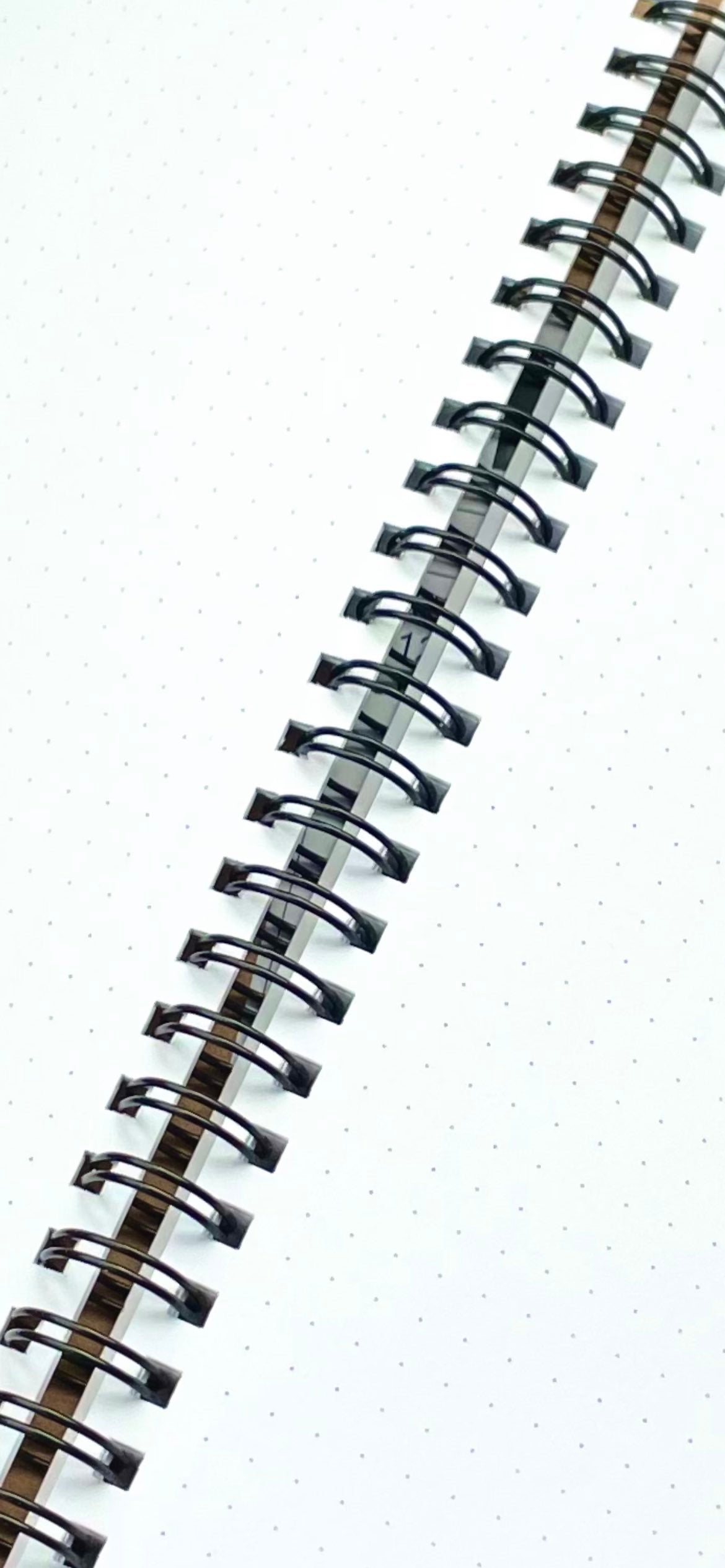 WD Dotted Notebook